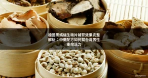 德國黑螞蟻生精片 補腎 中藥配方